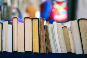 A row of books on a shelf