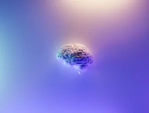 A human brain with a purple background