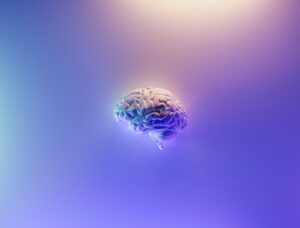 A developing human brain on a purple background